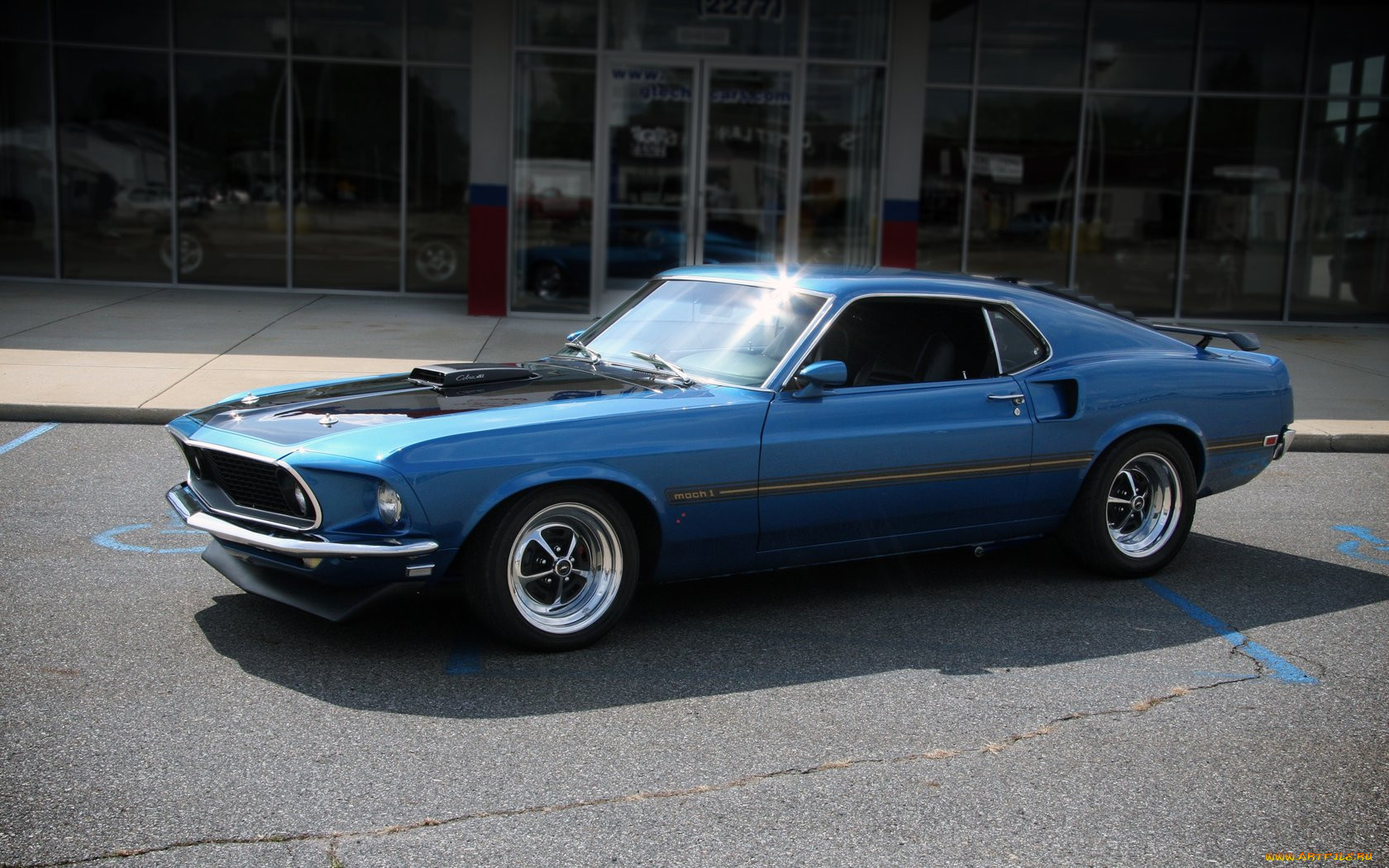 , mustang